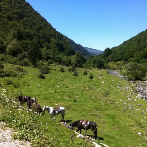 Les Ecuries du Mas di Gau