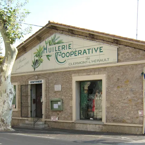 Coopérative Oléïcole La Tavernaise