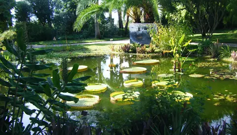 Jardin botanique Val Rahmeh-Menton