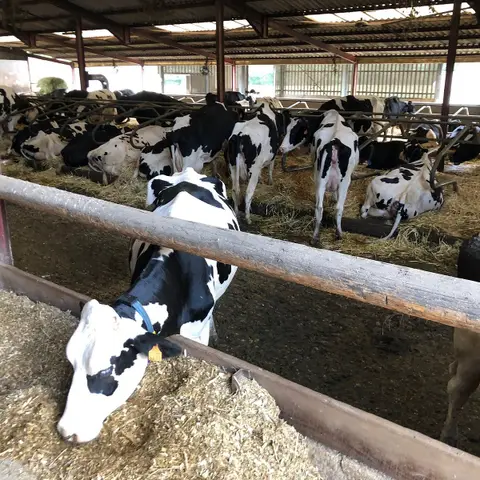 La ferme de Pepe