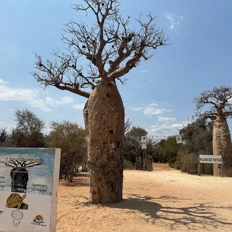 Le Village des Tortues