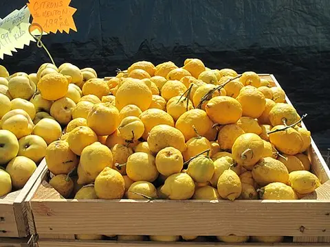 Producteur Citron de Menton IGP -Sacchelli Christophe - Visites et Ateliers