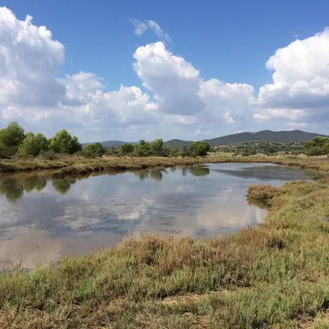 Espace Nature des Salins d'Hyères