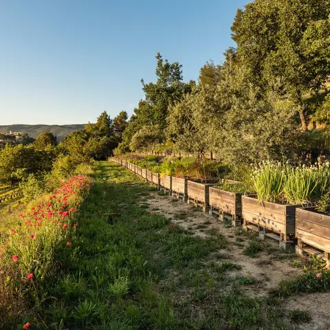Jardin du Mont Ventoux