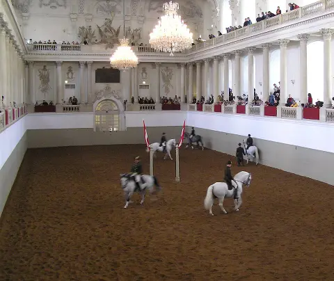 Conservatoire d'équitation ancienne - Ecole de dressage