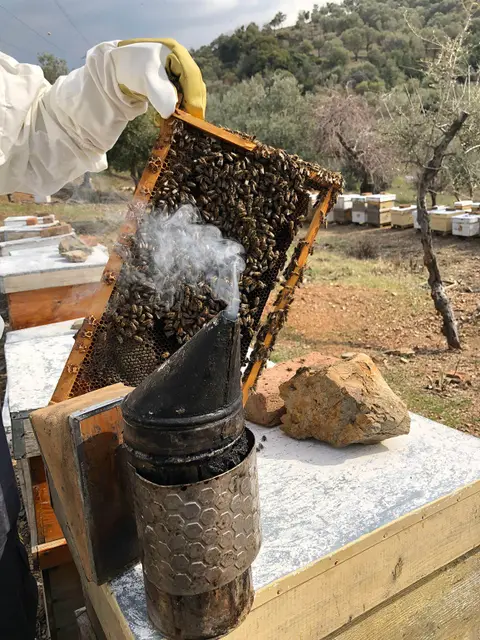 Ganet Apiculture