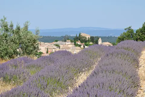 Ferme des églantines
