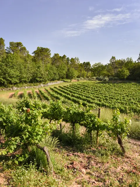Mira Luna - Domaine de la Baume