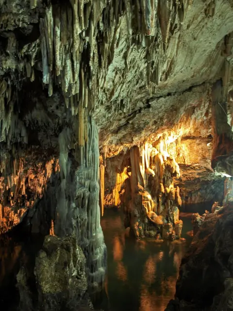 Cave Saint André - Barjols