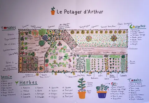 Le potager de Léandre