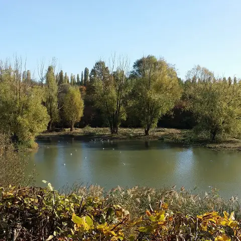 Etang "Sous Pradine" - Parc Henri Fabre