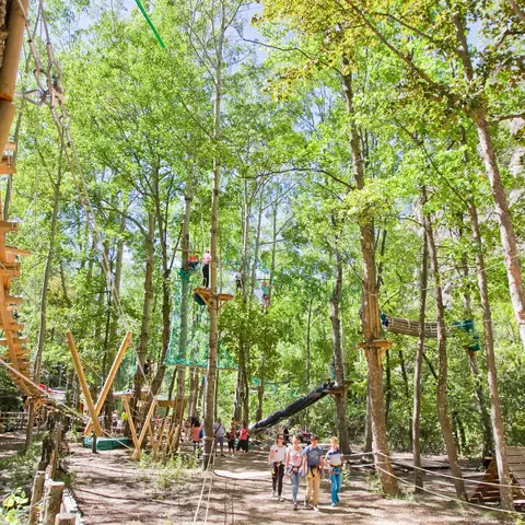 Grimp'in Forest - Parc Aventure