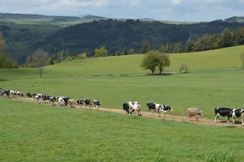 GAEC La Ferme des Écrins