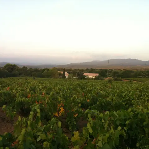 Domaine Croix Rousse