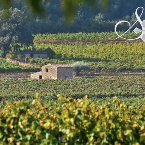 Domaine Roux