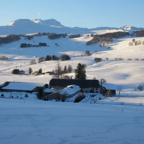 Ferme équestre du Grand Bois