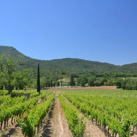 Château La Calisse