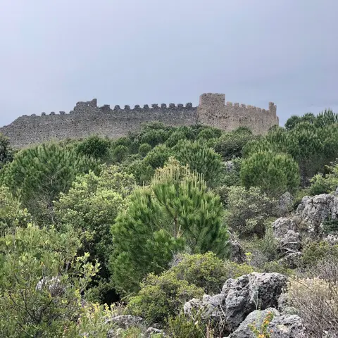 Castellas