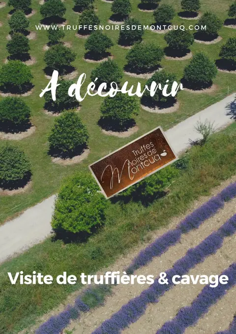 Les Frères Jaumard - Producteurs et négociants en truffes