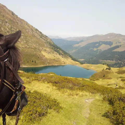 Ferme équestre Les Chevaux de Roquépine
