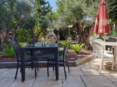 Le Jardin des Oliviers
