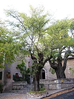 Le Hameau d'Amphoux