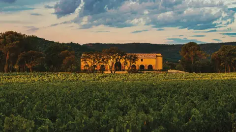 Château Saint-Maur Cru Classé