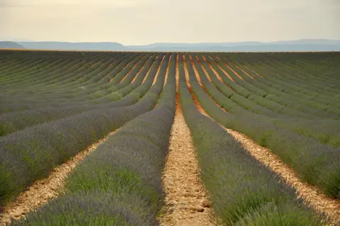 Ferme des Seguins