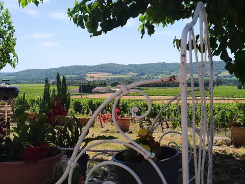 Maison l'Hérine - Cave de Visan