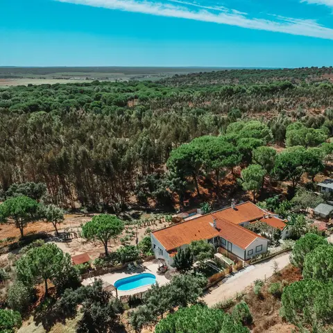 Ferme Terra Abelha