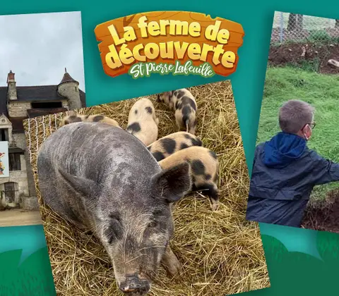 LaGrandTerre Ferme Découverte