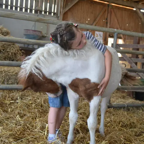 La Ferme Pédagogique d'Idéfix