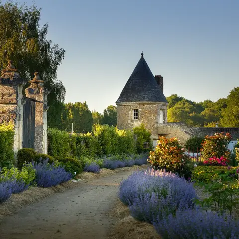 Château de Vins