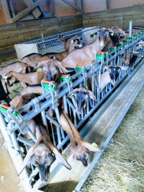 Ferme de Pic Ponçon