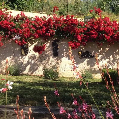Le Potager de la Ferme Constantin