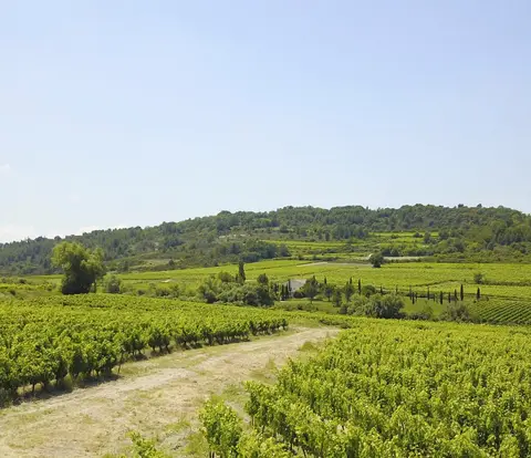 Terre de Ghaya