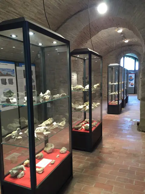 Musée des fossiles et minéraux