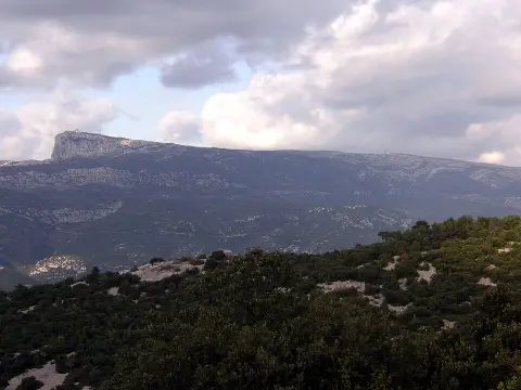 Abeilles et miel de la Sainte Baume