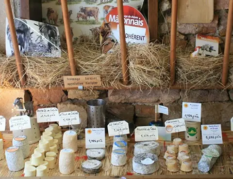 Fromagerie des Gipières