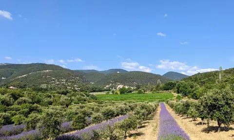 Domaine de Lamanois