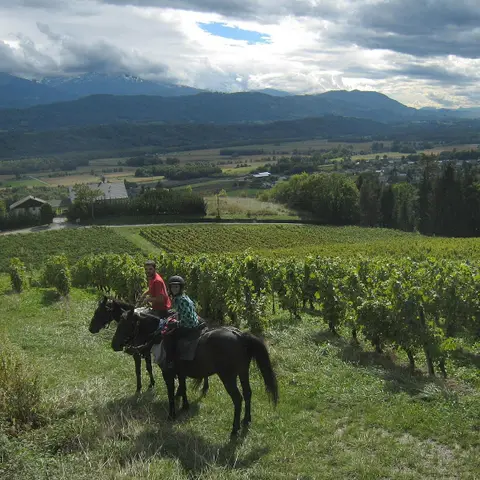 Centre équestre Mini-Ranch