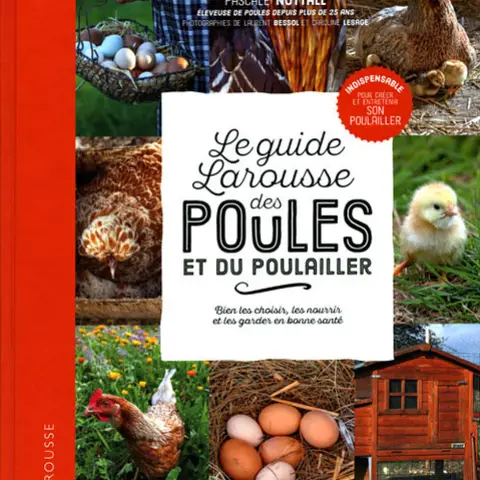 Le Poulailler de Léa