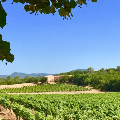Domaine des Grandes Aubréguières