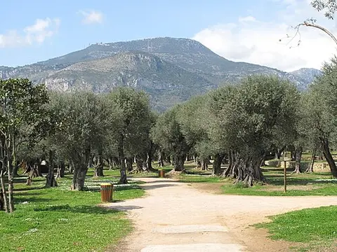 Jardin des Oliviers