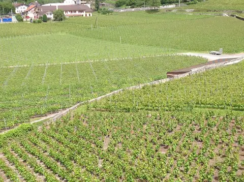 Ecomusée de la vigne et du vin