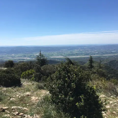 ENS Forêt des cèdres du Luberon
