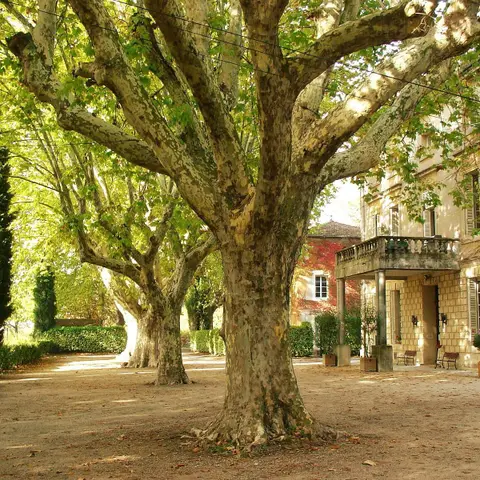 Château de Chabrières