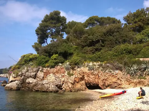 L'oliveraie