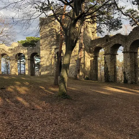 Ruines Villa Bonnefoy