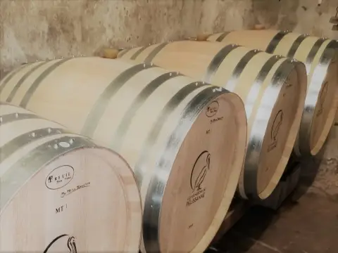 Les vignerons de Pélissanne